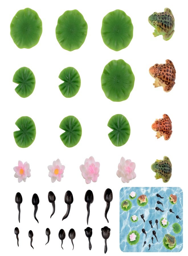 Puideon 30 Pcs Pond Accessories,Miniature Tadpoles Lotus Lily Pads for Outdoor Pond Pool Garden Water Decoration - Image 2